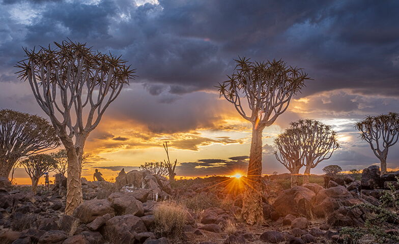 Namibias Süden & Kgalagadi Park